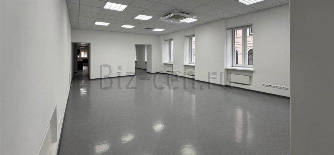 бизнес центр Пассаж на Итальянской 17 спб